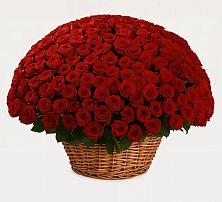 Премиум букет из: Розы в Калевале